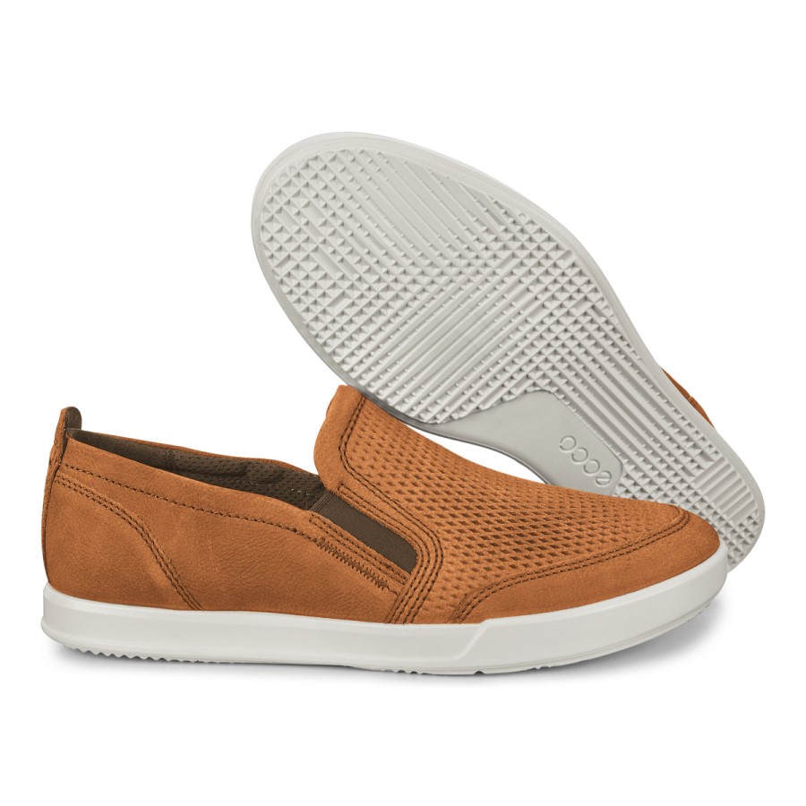 Camel Collin 2.0 Aici Este Romania