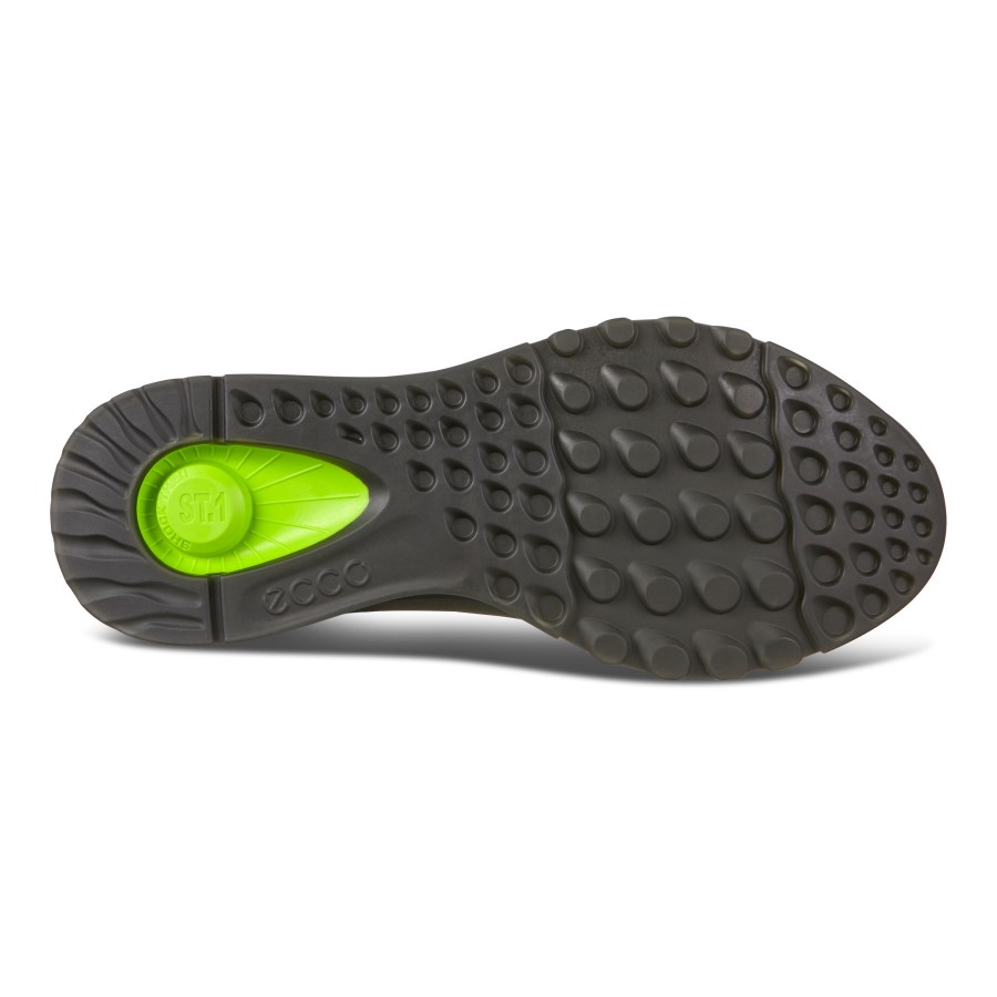 St.1 M Ecco Forest Romania