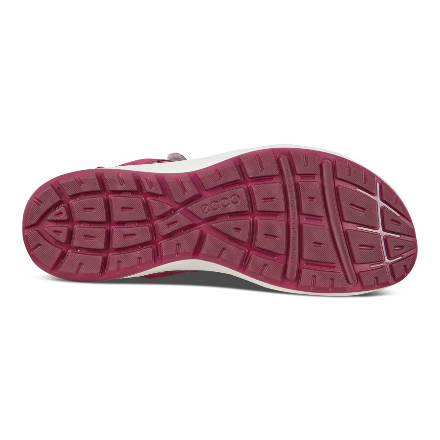 Sangria Aici Croaziera Ii Romania