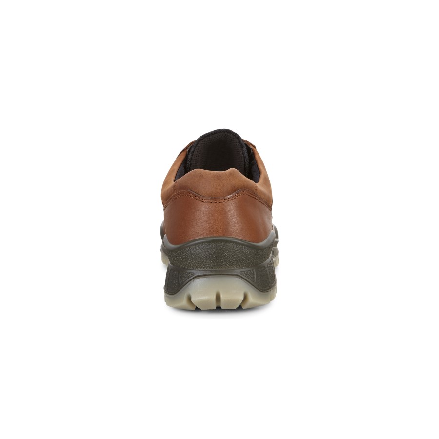 Track 25 Bison Ecco Romania